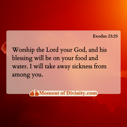 Worship the Lord your God, and his blessing will be on your food and water. I will take away sickness from among you.