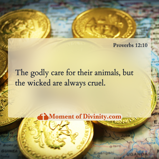 The godly care for their animals, but the wicked are always cruel.
